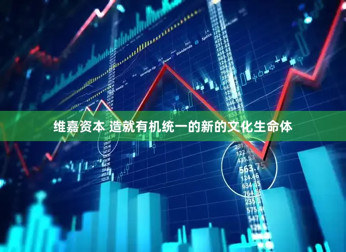 维嘉资本 造就有机统一的新的文化生命体