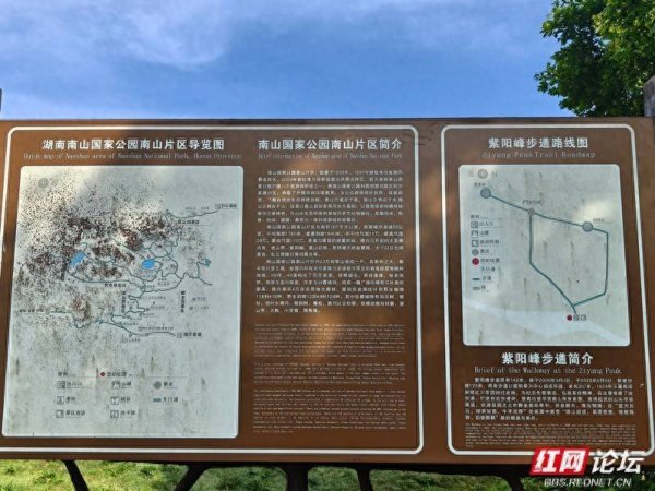 闻喜 高清湖南丨风吹草低见奶牛，紫阳峰有多少温柔等你发现