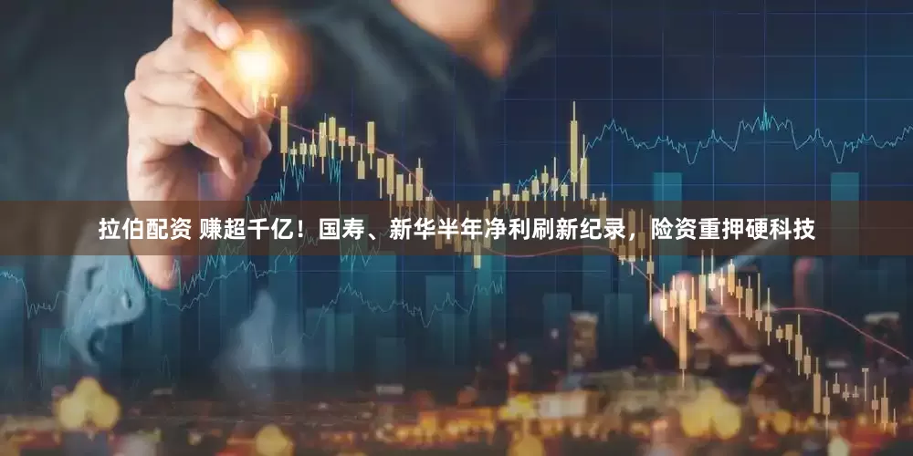 拉伯配资 赚超千亿！国寿、新华半年净利刷新纪录，险资重押硬科技